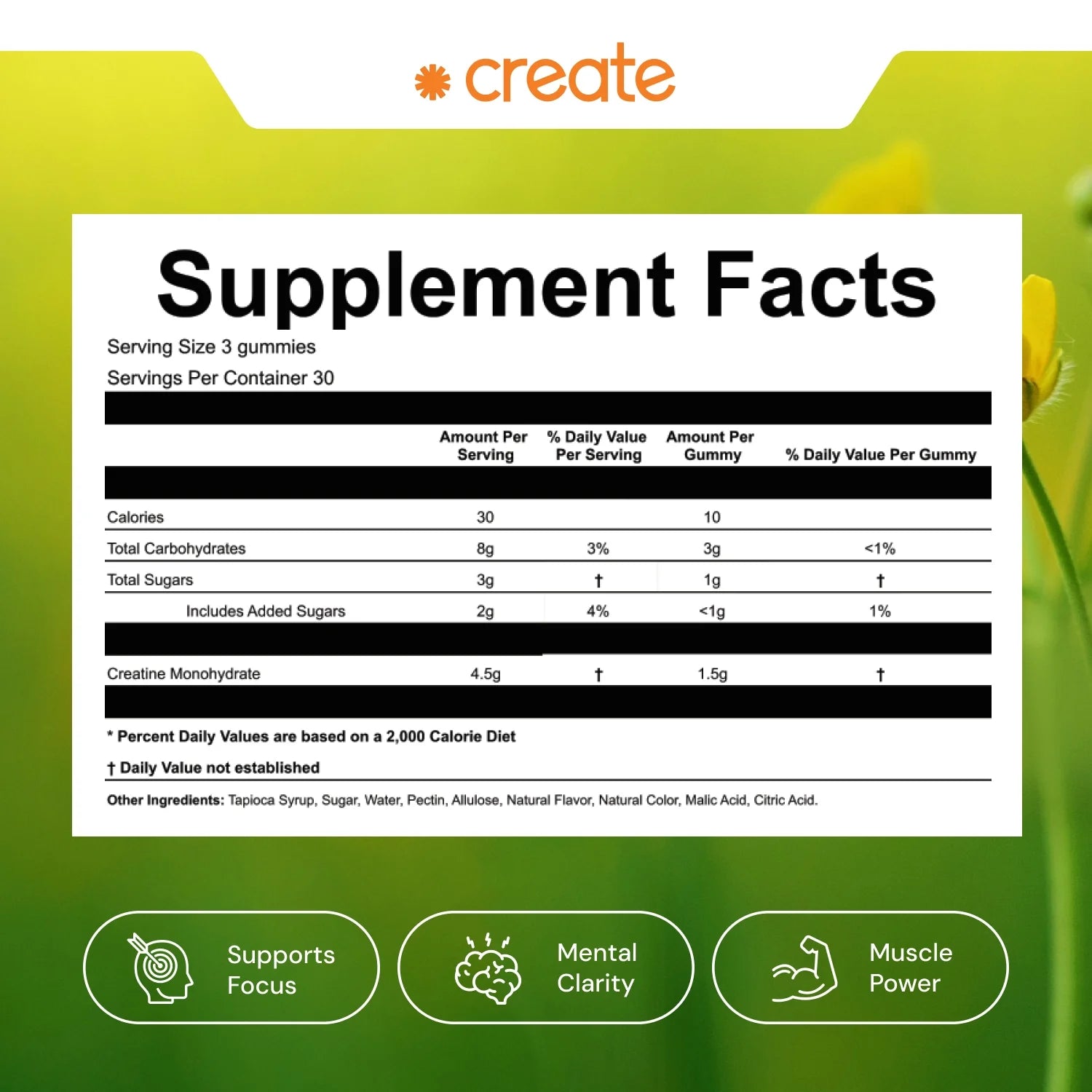 Create Creatine Gummies – 1.5G Creatine Monohydrate per Gummy, Boost Strength & Focus, Orange, 90 Ct